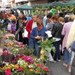 Mercadillo de Almoradí
