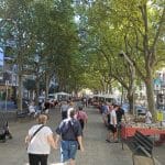 Mercadillo de Antigüedades Reus