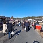 Feria de San Cosme