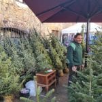 Feria del Abeto de Espinelves