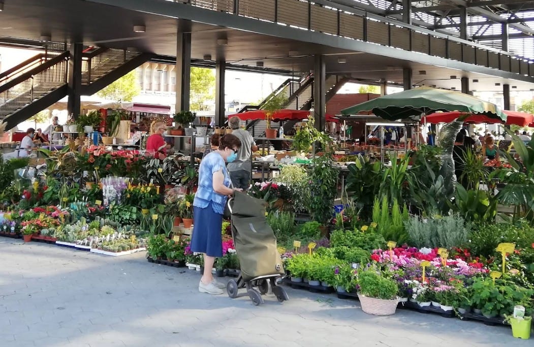 Flores y Plantas en el Mercadillo de Figueres