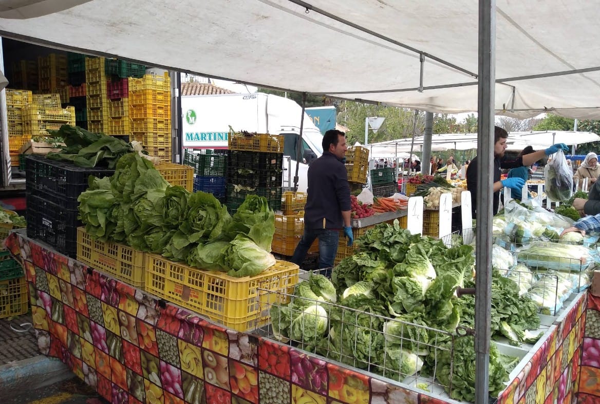 Lechugas en mercadillo de San Pedro del Pinatar