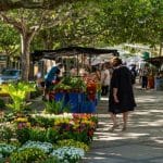Mercadillo de Esporles