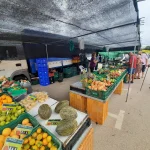 Mercadillo de La Marina