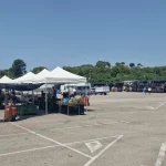 Mercadillo de La Pineda