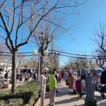 Mercadillo de Manzanares
