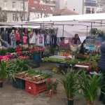 Mercadillo de Moaña