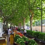 Mercadillo de Ribes de Freser