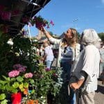Mercadillo de Talavera