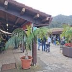 Mercadillo de Tegueste