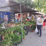Mercadillo de Villajoyosa