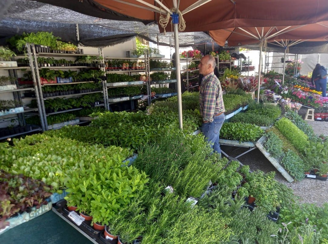 Plantas en el mercadillo de Celrà