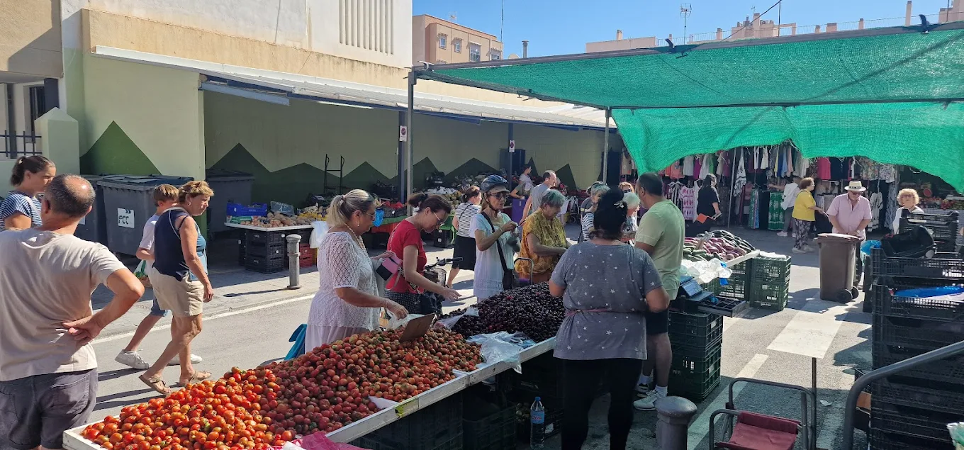 Tomates en el Mercadillo de San Juan de Alicante