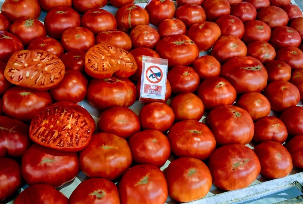 Tomates en el mercadillo de Oropesa del Mar