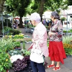 Mercadillos en la