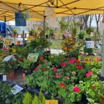 Mercadillo de Alcalá de Henares