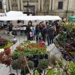 Mercadillo Celanova