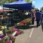 Mercadillo del Domingo de Ontinyent