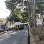 Mercadillo Ecológico de Godella