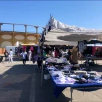 Mercadillo de Ejea de los Caballeros