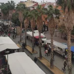Mercadillo del Fondo, los sábados en Santa Coloma