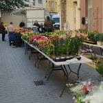 Mercadillo de Gata de Gorgos