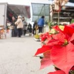 Mercadillo de L'Eliana