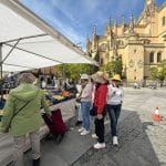 Mercadillo de la Plaza Mayor de Segovia