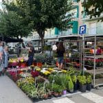 Mercadillo Poblenou de Pineda de Mar los viernes