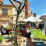 Mercadillo de Santa María del Páramo