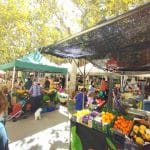 Mercadillo en Vilafranca del Penedes