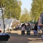 Mercadillo de Montijo
