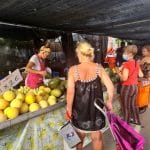 Mercadillo Torre de la Horadada