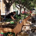 Mercadillo Ecológico de La Malagueta