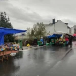 Feria de Viana do Bolo