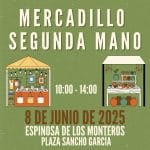 Mercadillo de Segunda Mano de Espinosa delos Monteros