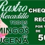Mercadillo de los Domingos de Lucena